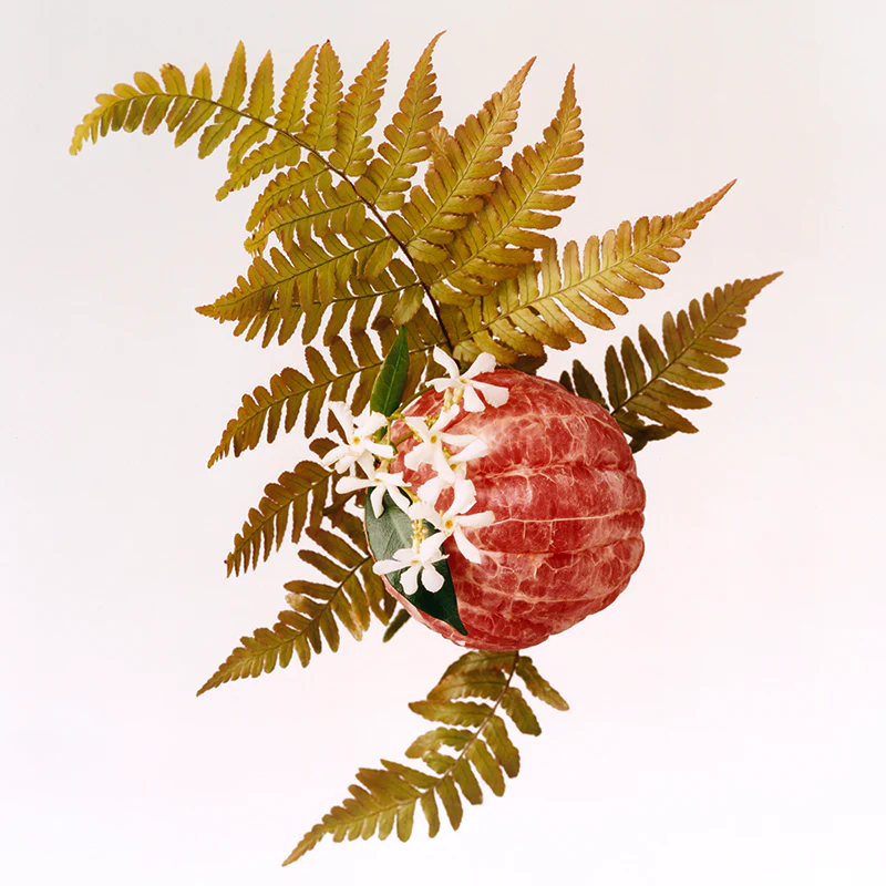 Adelphi Sun - Eau de Parfum - Image 6