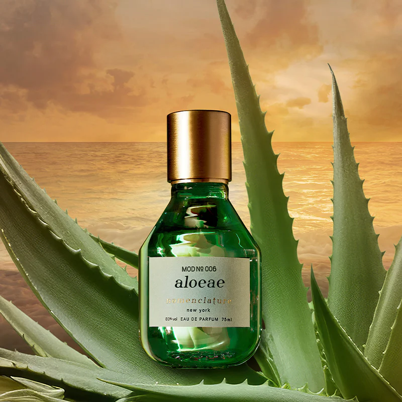 aloeae - Eau de Parfum - Image 4