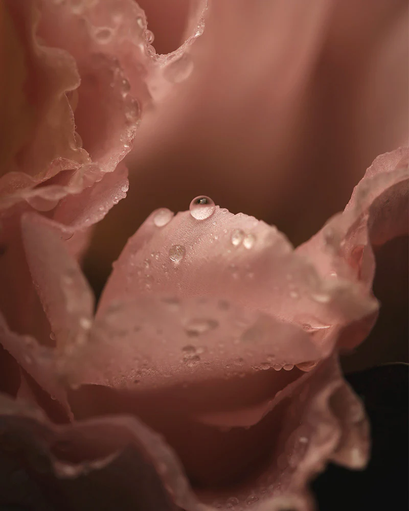 night serum - Eau de Parfum - Image 4